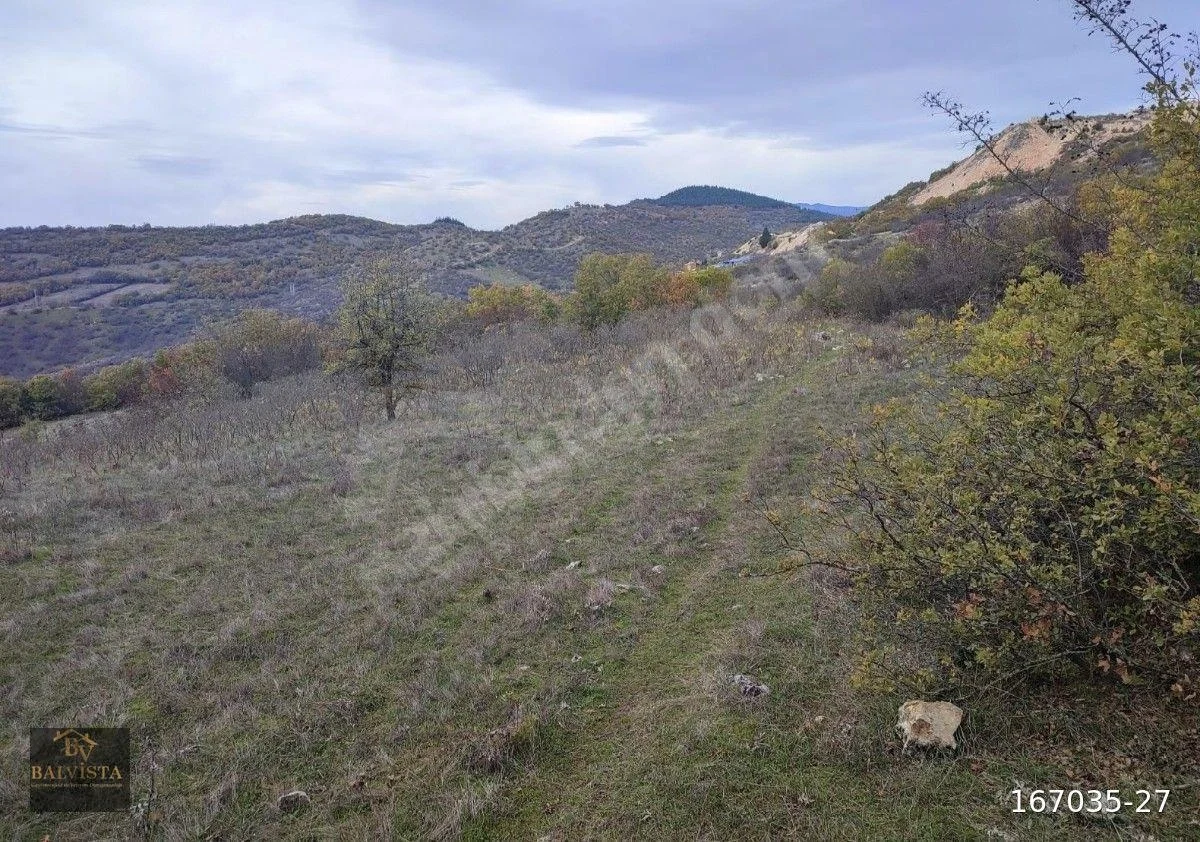 Sındırgı Mumcuköy 3279 M2 Satılık Tarla